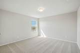 5217 Lomasso Dr - Photo 28