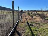 1300 County Road 217 - Photo 11