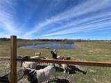 1300 County Road 217 - Photo 2