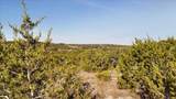 445-455 Skyline Acres - Photo 8