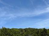 8811 El Cajon Ln - Photo 8