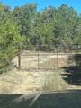 TBD Fitzhugh Rd - Photo 2