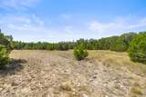 TBD Lipan Run Tract 2 - Photo 39