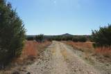 1684 County Road 2234 - Photo 13