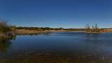 1684 County Road 2234 - Photo 4