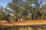 1260 County Road 2001 - Photo 2