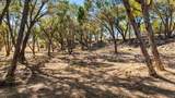 1594 Ranch Road 1320 - Photo 9