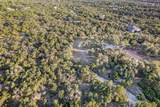 12506 Painted Bunting Dr - Photo 31