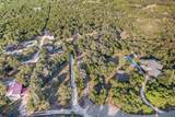 12506 Painted Bunting Dr - Photo 34