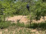 TBD County Road 482 Rd - Photo 19