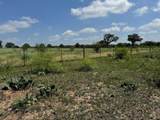 TBD County Road 482 Rd - Photo 27