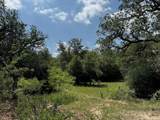 TBD County Road 482 Rd - Photo 29
