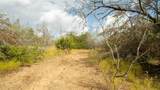 2054 County Road 334 - Photo 12