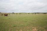 Tract 34 County Road 2800 - Photo 10