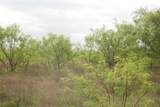 Tract 34 County Road 2800 - Photo 19