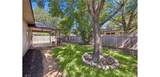 4316 Companeros Way - Photo 24