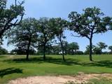 262 Colovista Pkwy - Photo 4