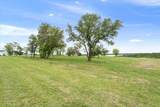 10091 Blanco Springs Rd - Photo 3