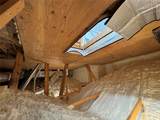 10 Mesquite Trl - Photo 29