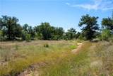 TBD County Road 405 - Photo 15