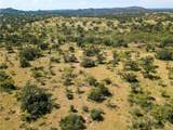 TBD County Road 405 - Photo 33