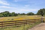 1306 Hidden Springs Dr - Photo 8