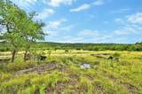 5330 Spring Preserve Trl - Photo 10