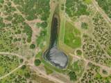 817 Highway 59 S. - Photo 32