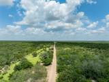 817 Highway 59 S. - Photo 36