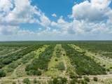 817 Highway 59 S. - Photo 38