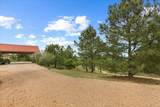 178 Pine Tree Loop - Photo 6