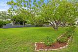 819 Hackberry St - Photo 38