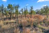 104 County Road 323A - Photo 11