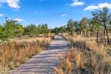 104 County Road 323A - Photo 9
