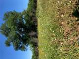 569 Tbd Burdette Wells Rd - Photo 3