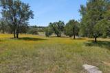 107 Comanche Agate - Photo 21