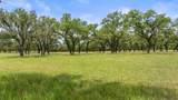 1241-1 Sandy Oaks Ranch - Photo 2