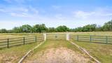 1241-1 Sandy Oaks Ranch - Photo 5