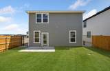 5215 Monarda Mint Dr - Photo 19