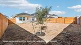 186 Orange Flame Blvd - Photo 26