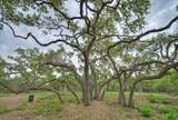 11916 Jim Bridger Dr - Photo 3