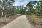 11916 Jim Bridger Dr - Photo 8