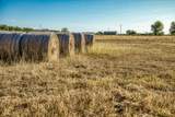 460 County Road 328 - Photo 4