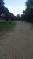 6303 Wilcab Rd - Photo 6