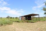 315 County Road 114 - Photo 6