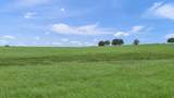 245 Country Lane Tract 2 10 Acres Ln - Photo 12