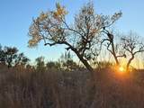 Lot 180 Lookout Mountain Rd - Photo 21