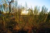 Lot 180 Lookout Mountain Rd - Photo 22