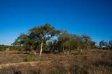 Lot 180 Lookout Mountain Rd - Photo 4