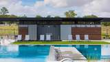 9504 Hamadryas Dr - Photo 19